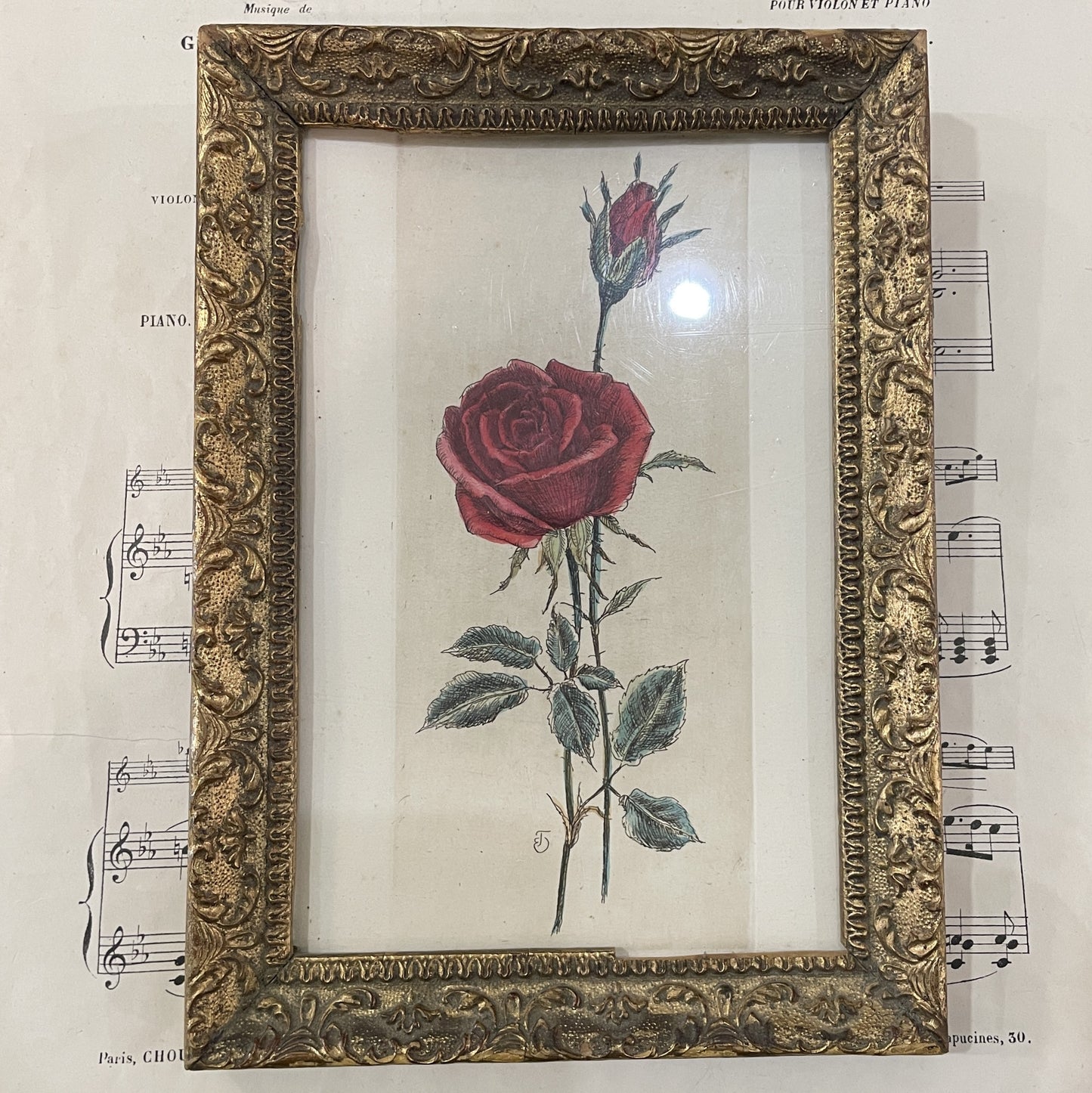 Antique French Hand Painted Framed Engraving Rose c1840