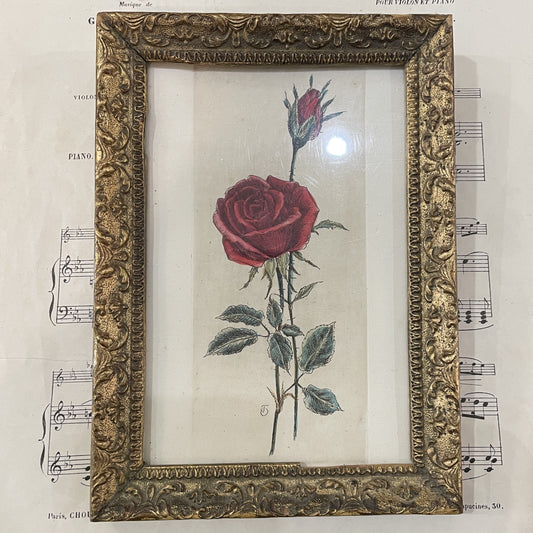 Antique French Hand Painted Framed Engraving Rose c1840