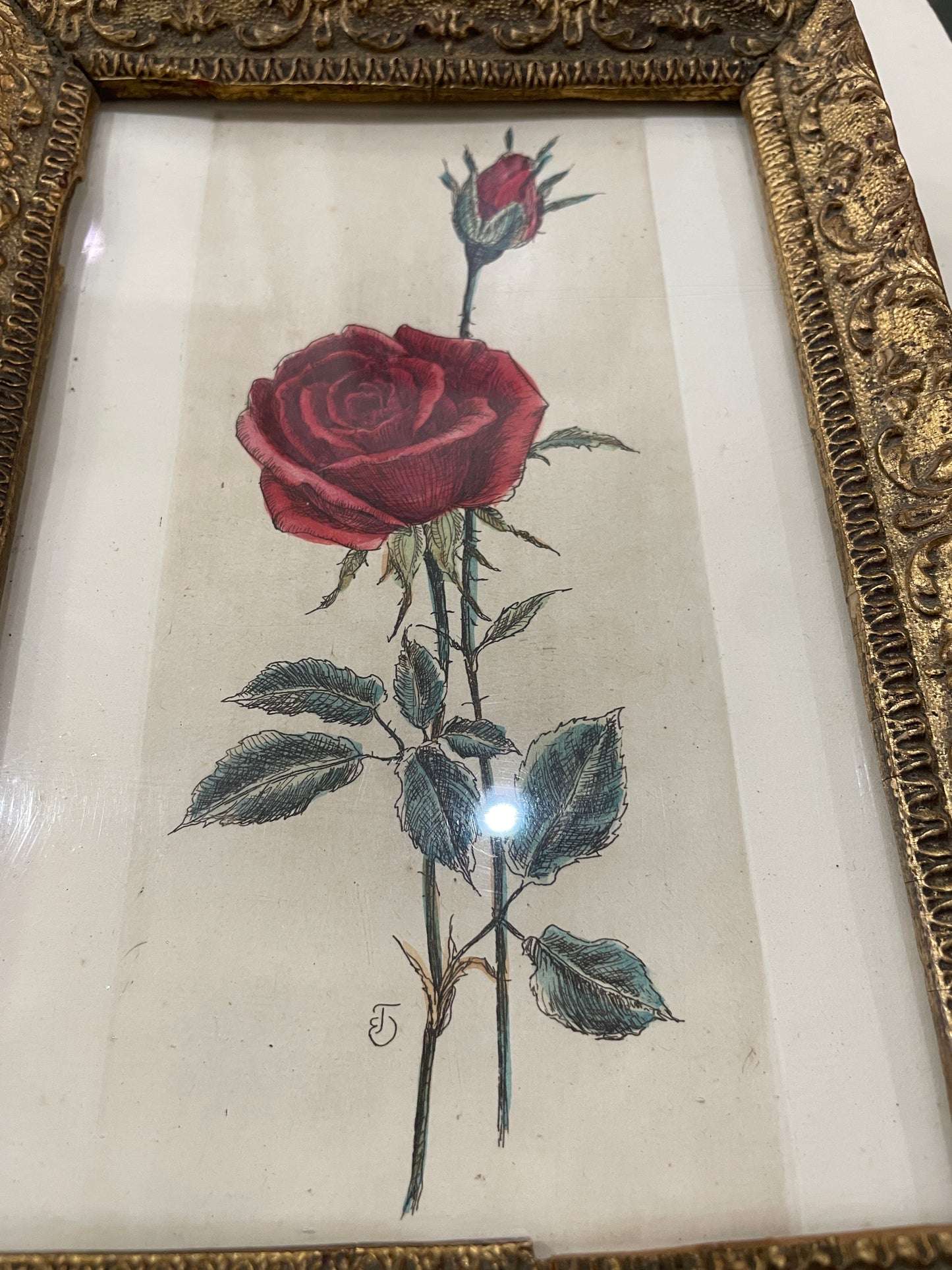 Antique French Hand Painted Framed Engraving Rose c1840