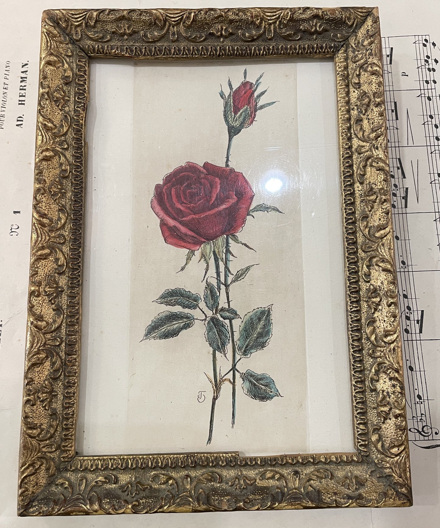 Antique French Hand Painted Framed Engraving Rose c1840