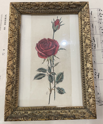 Antique French Hand Painted Framed Engraving Rose c1840