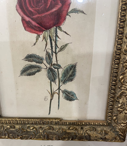 Antique French Hand Painted Framed Engraving Rose c1840