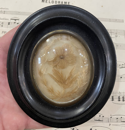 Antique French Mourning Hair Art Domed Glass Wooden Frame Pansy c1880