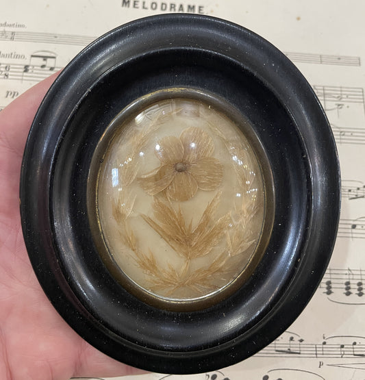 Antique French Mourning Hair Art Domed Glass Wooden Frame Pansy c1880