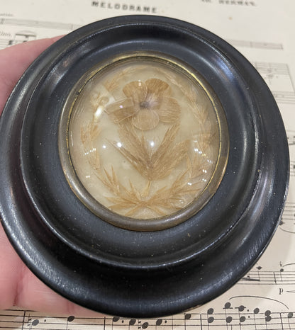 Antique French Mourning Hair Art Domed Glass Wooden Frame Pansy c1880