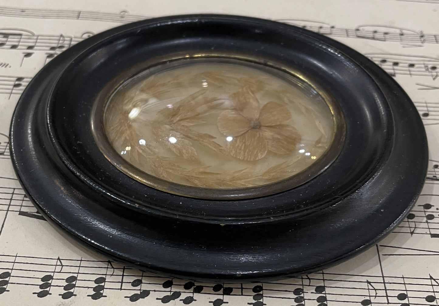 Antique French Mourning Hair Art Domed Glass Wooden Frame Pansy c1880