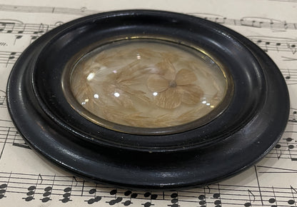 Antique French Mourning Hair Art Domed Glass Wooden Frame Pansy c1880