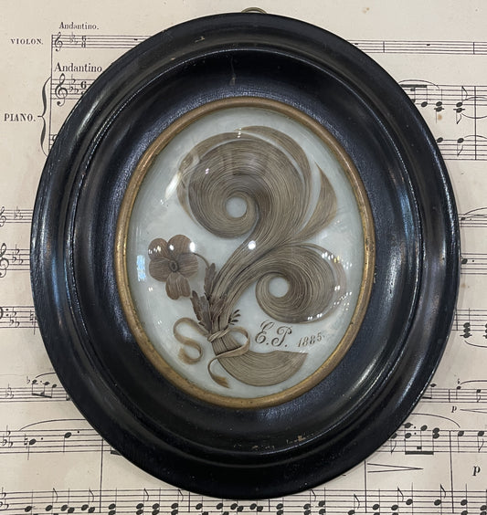 Rare Antique French Mourning Hair Art Domed Glass Wooden Frame Flower c1885