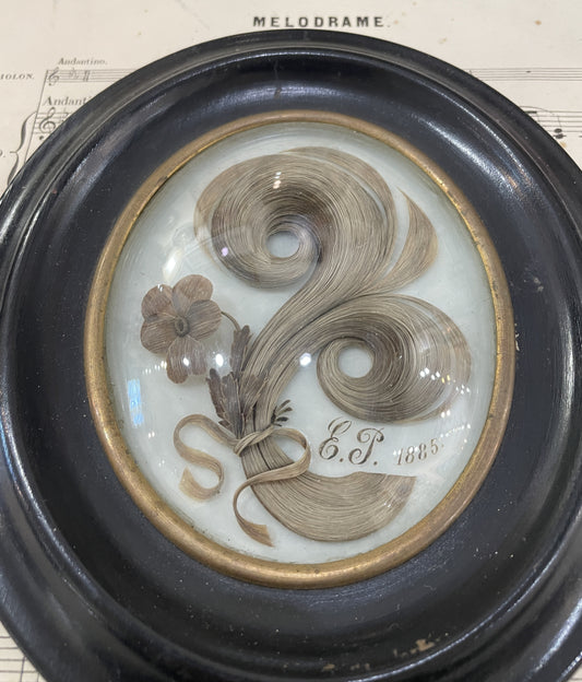 Rare Antique French Mourning Hair Art Domed Glass Wooden Frame Flower c1885