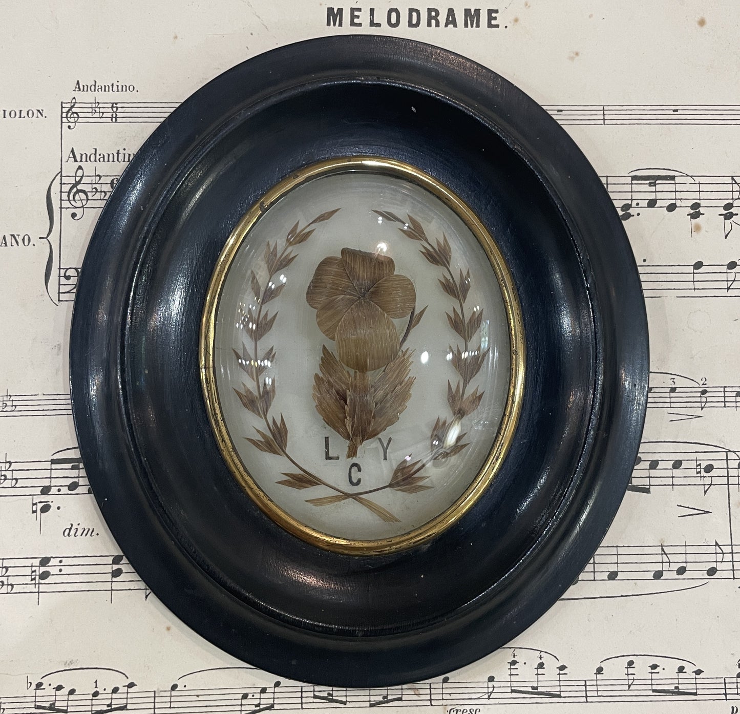 Antique French Mourning Hair Art Domed Glass Wooden Frame c1880