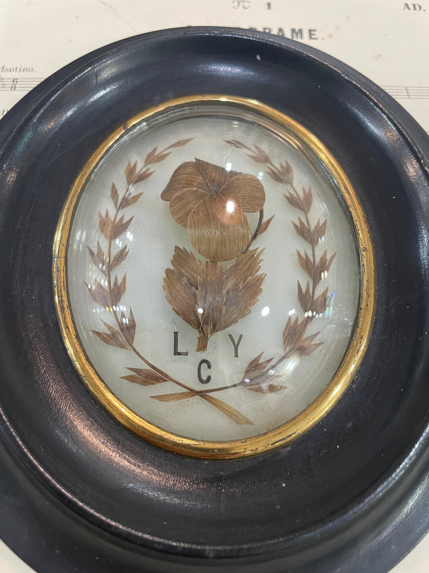 Antique French Mourning Hair Art Domed Glass Wooden Frame c1880