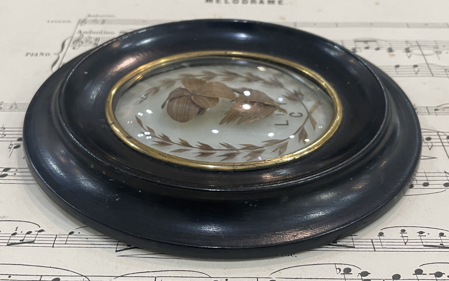 Antique French Mourning Hair Art Domed Glass Wooden Frame c1880