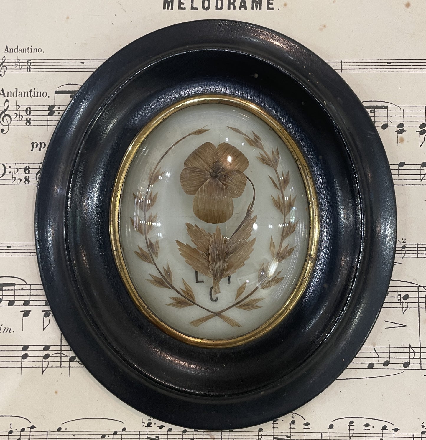 Antique French Mourning Hair Art Domed Glass Wooden Frame c1880