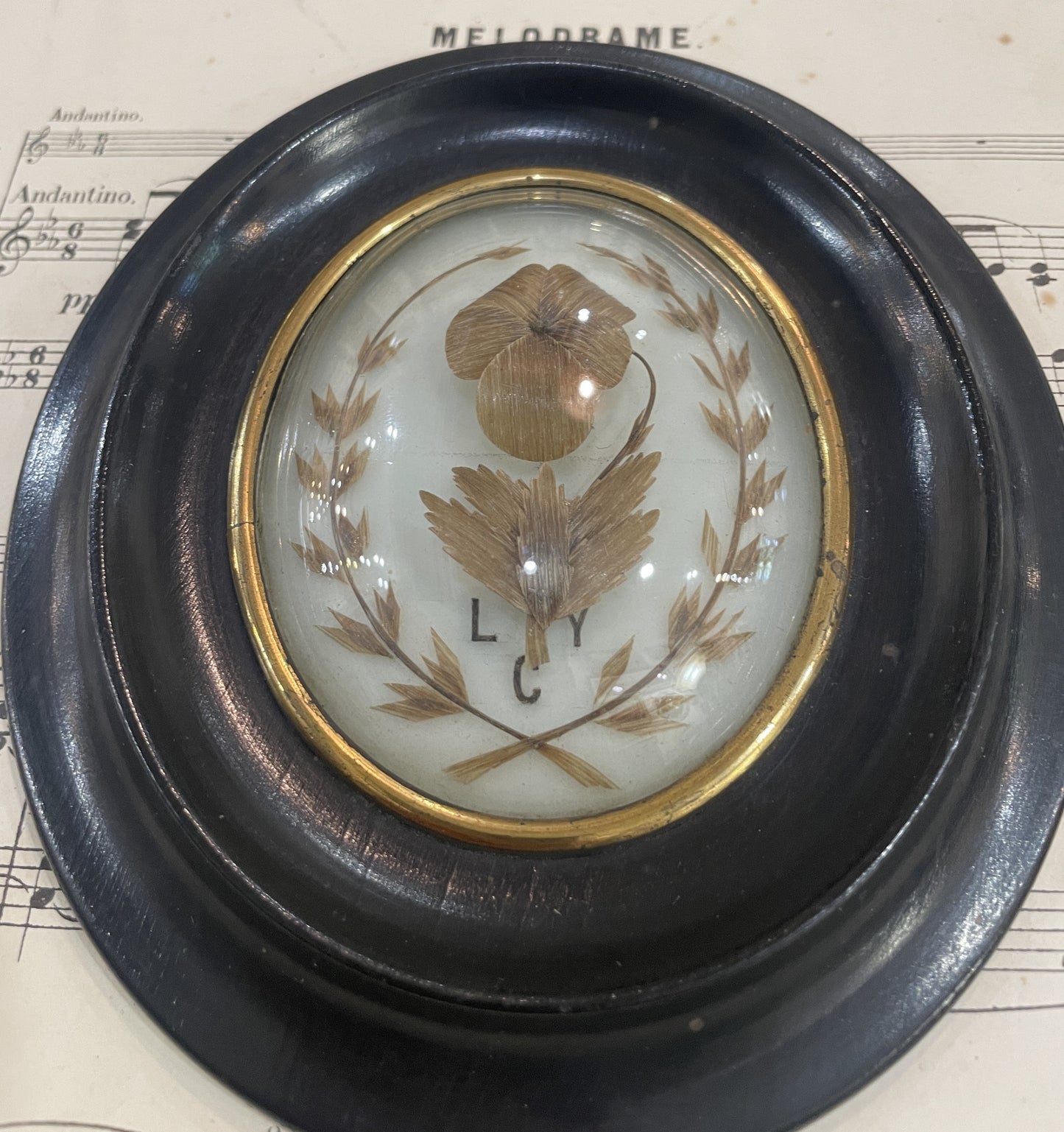 Antique French Mourning Hair Art Domed Glass Wooden Frame c1880