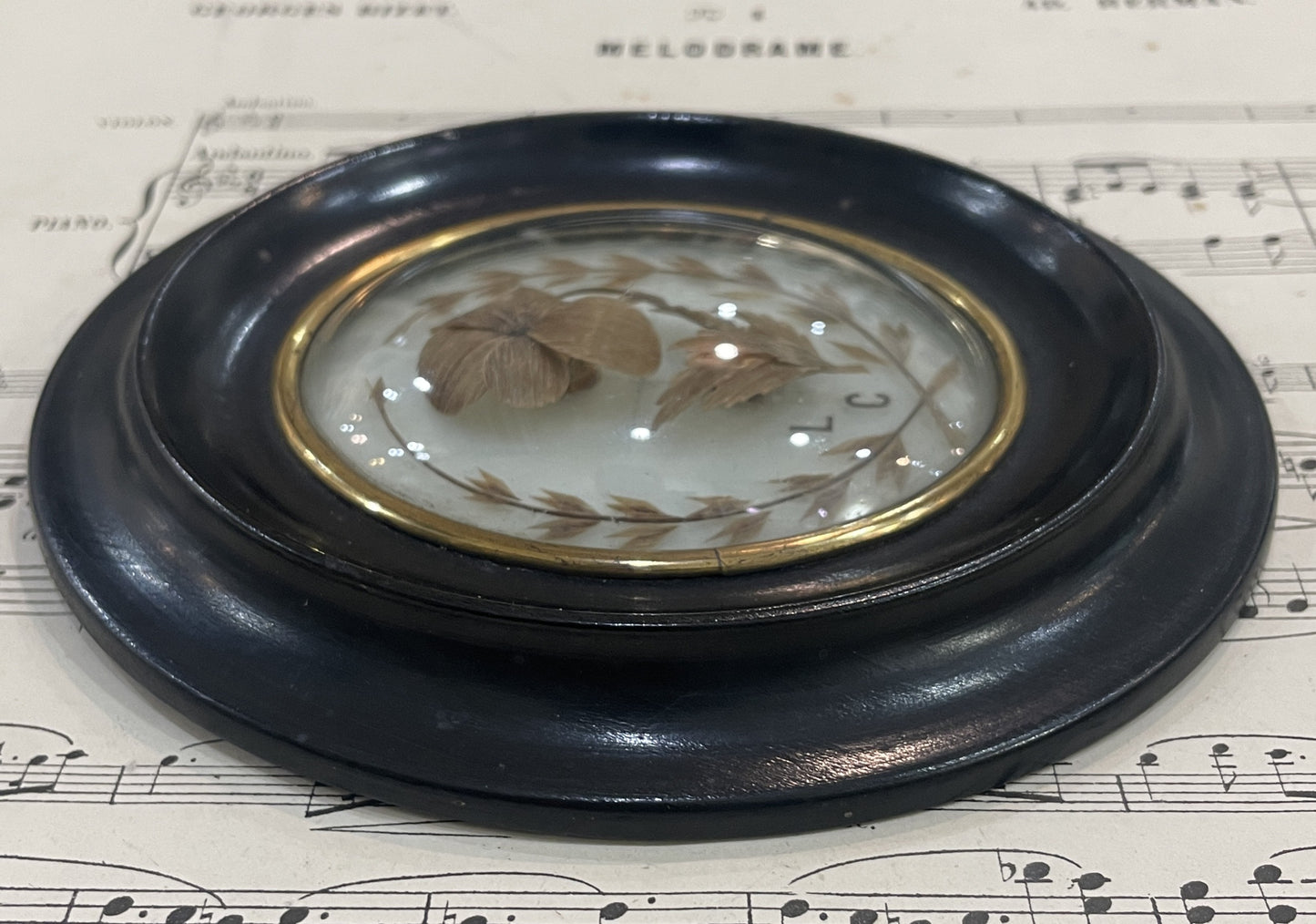 Antique French Mourning Hair Art Domed Glass Wooden Frame c1880