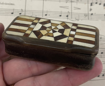 Antique French Carved Horn Snuff Box Inlaid Marquetry c1880