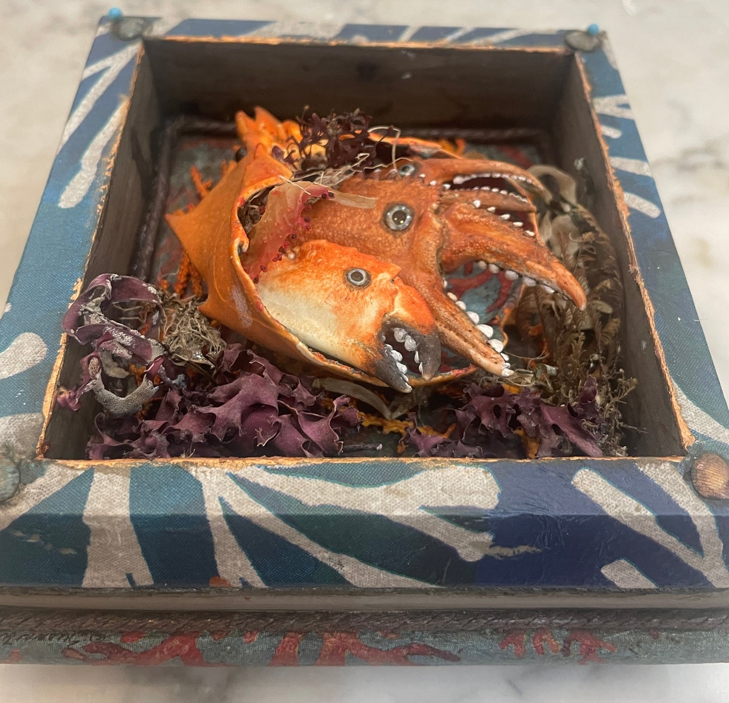 Crab Nest 3 Assemblage by Nancy Nelson