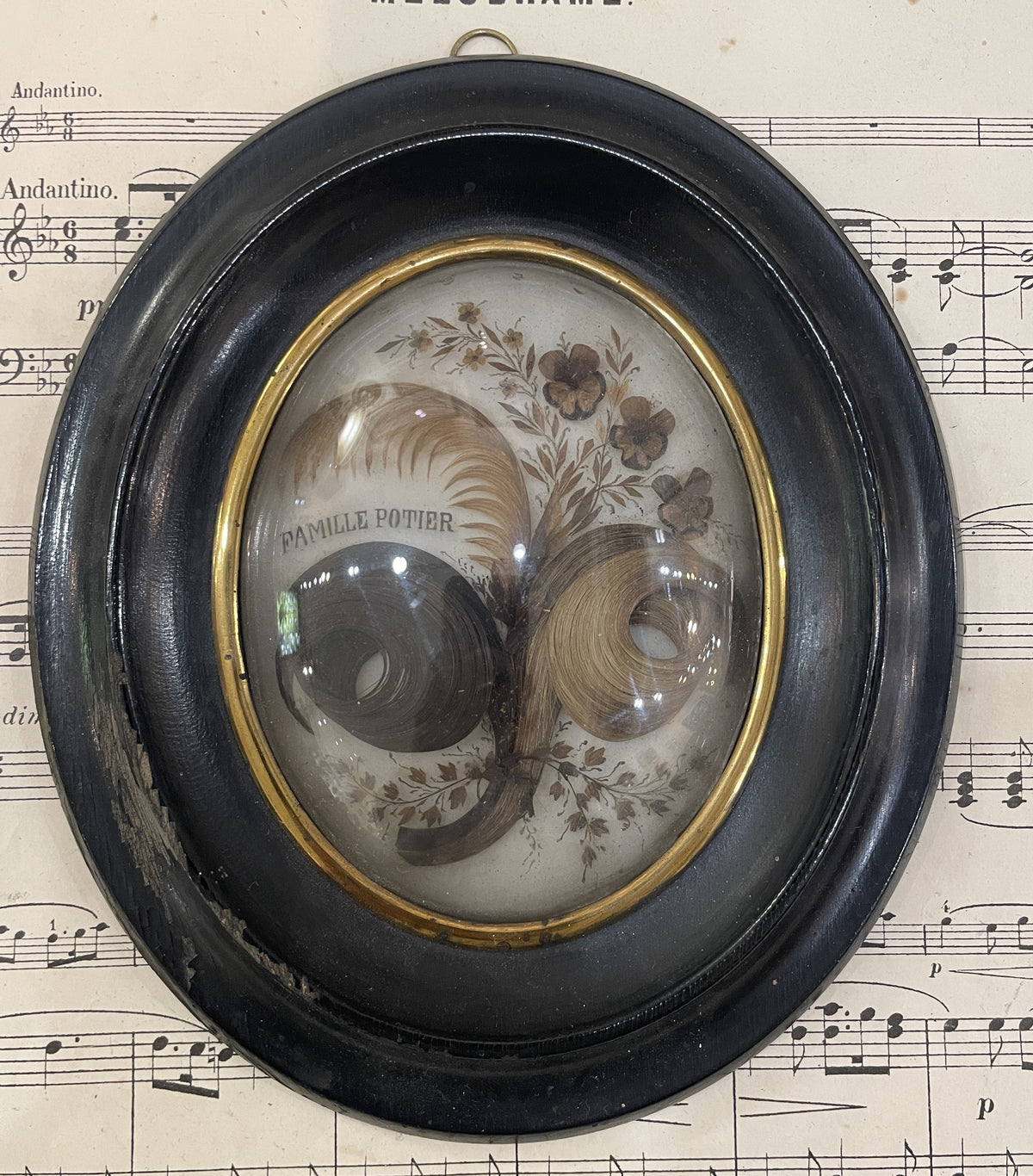 Rare Antique French Mourning Hair Art Domed Glass Wooden Frame c1880