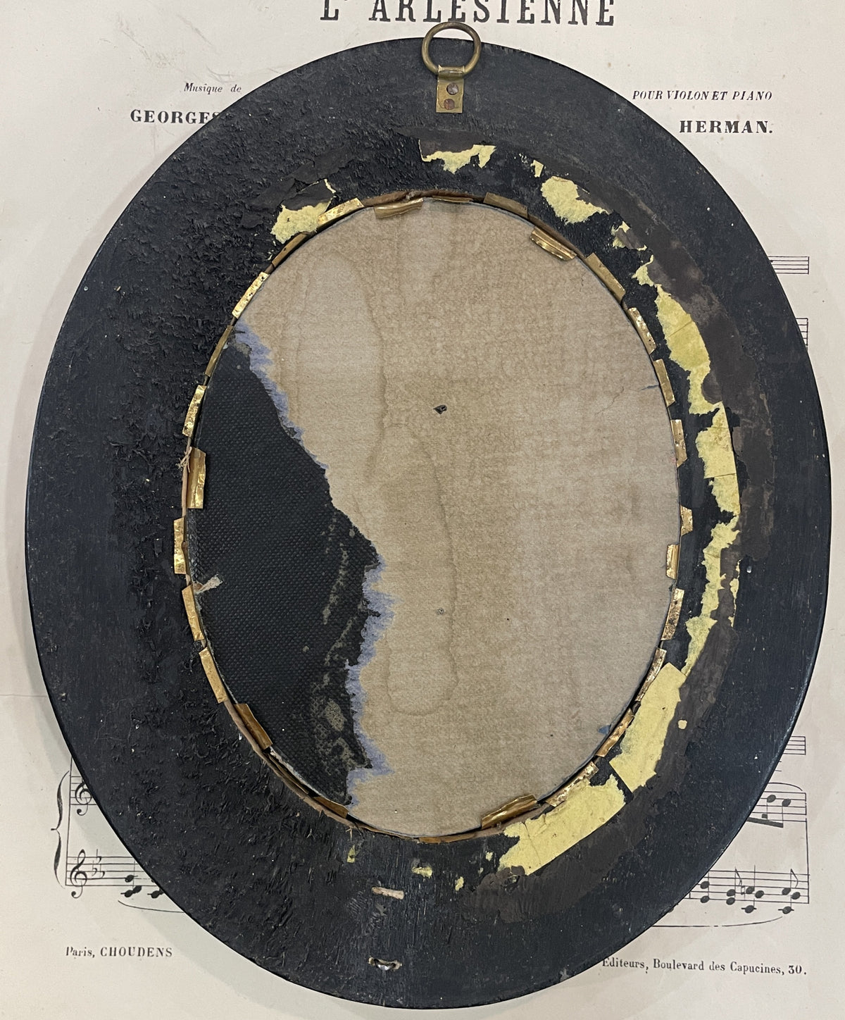 Rare Antique French Insect Taxidermy Domed Glass Wooden Frame c1880