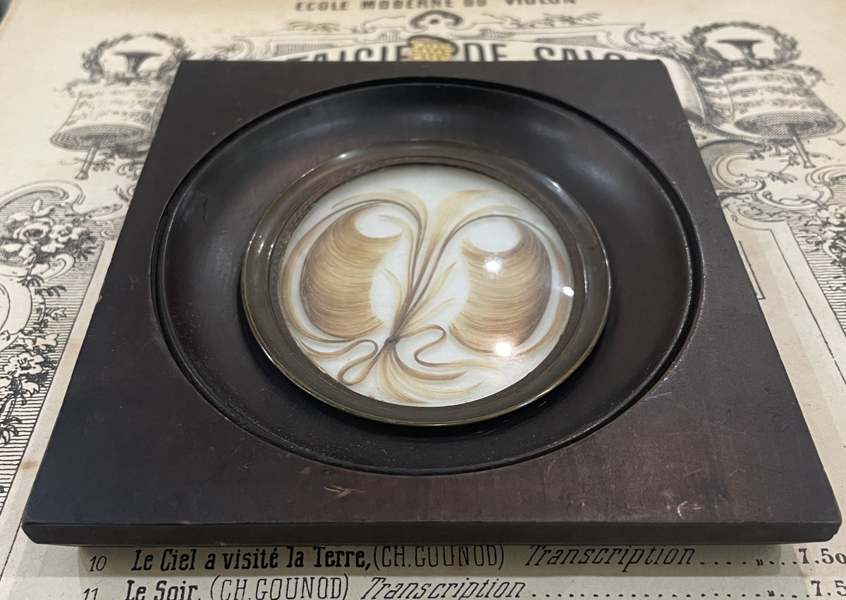 Rare Antique French Mourning Hair Art Domed Glass Wooden Frame c1860
