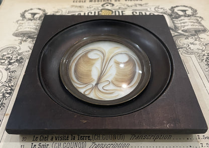 Rare Antique French Mourning Hair Art Domed Glass Wooden Frame c1860