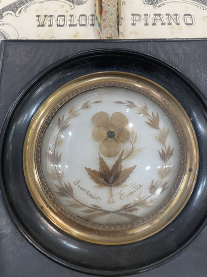 Rare Antique French Mourning Hair Art Domed Glass Wooden Frame c1860