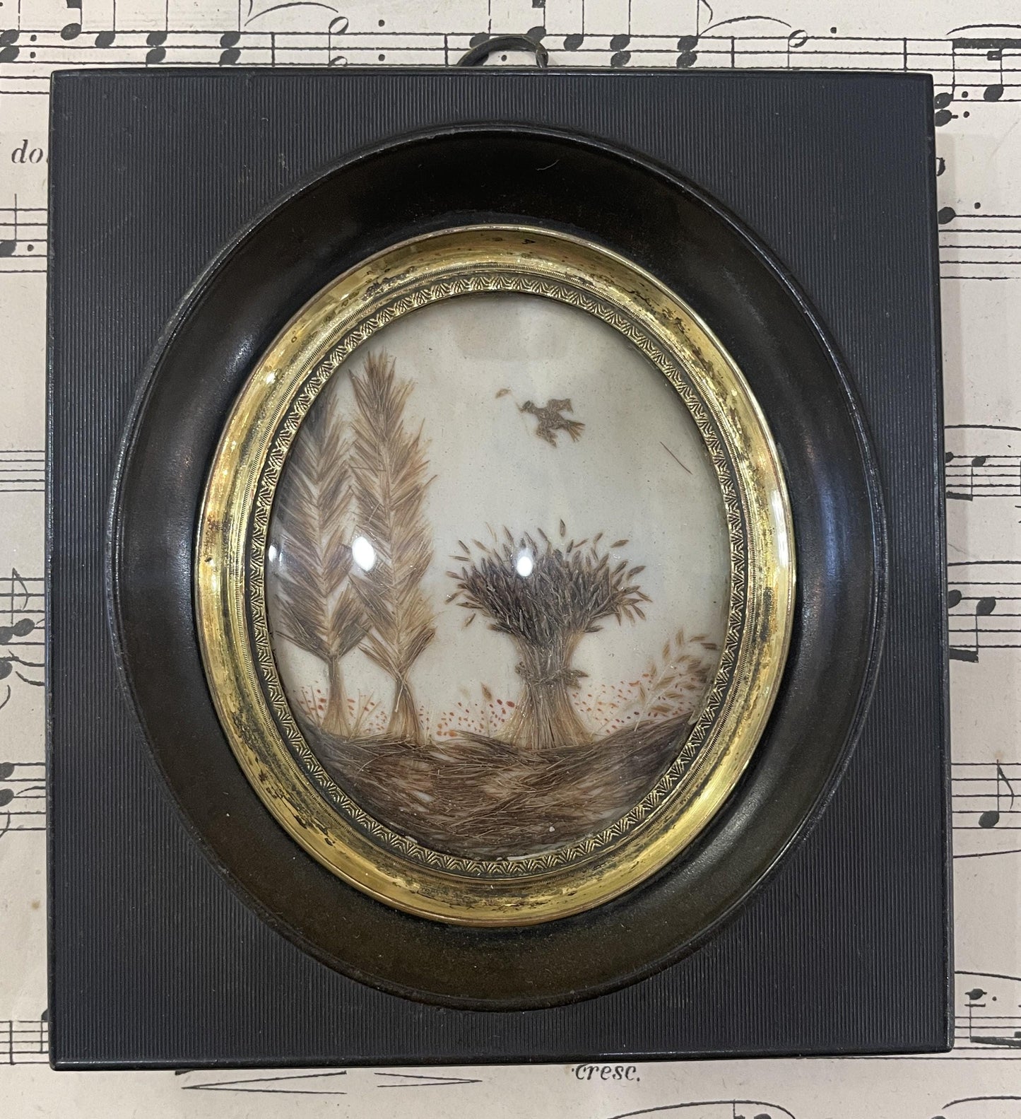 Rare Antique French Mourning Hair Art Domed Glass Wooden Frame Bird Trees c1860