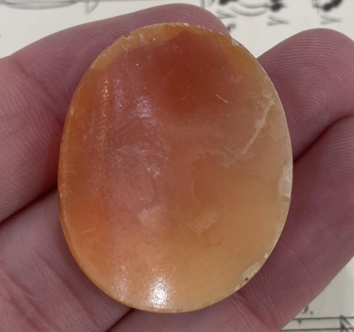 Rare Antique Italian Carved Shell Cameo Mythology Roman Goddess c1900