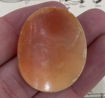 Rare Antique Italian Carved Shell Cameo Mythology Roman Goddess c1900