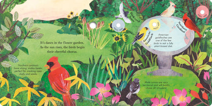 Songs Of The Birds