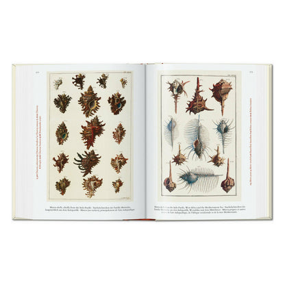 Seba. Cabinet of Natural Curiosities. 45th Ed. (German, French, English)