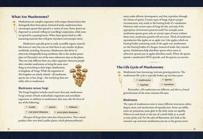 Little Book of Mushrooms by Alex Dorr: Hardcover; 256 pages / English