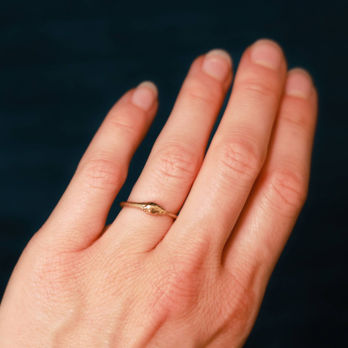 Bronze Ouroboros Snake Ring size 7