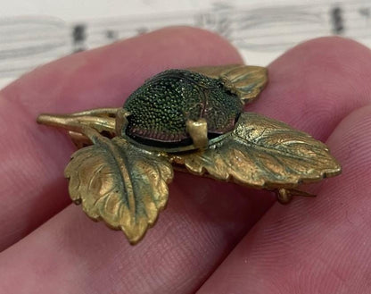 Rare Antique English Art Nouveau Real Scarab Brooch Pin Leaves c1900