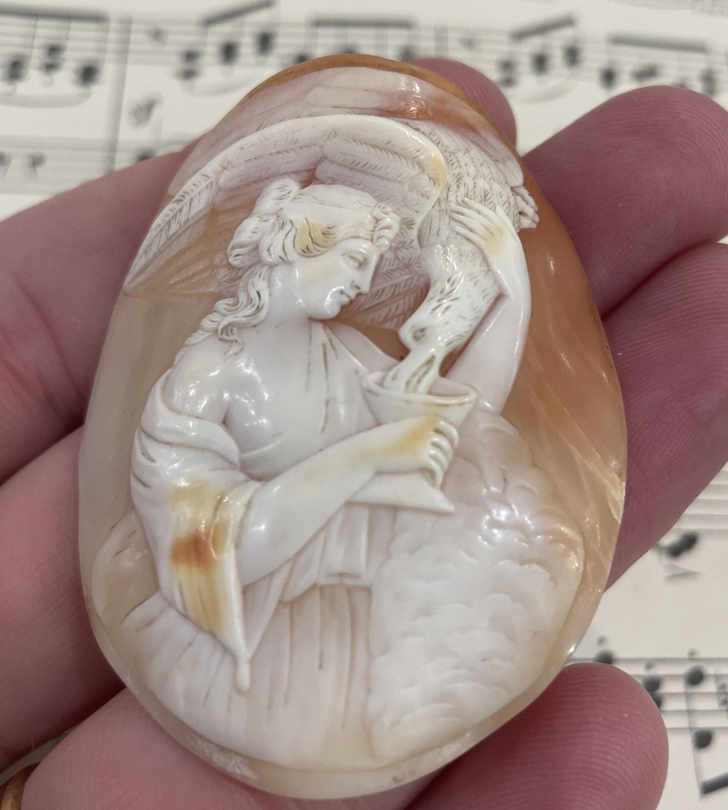 Rare Large Antique Italian Carved Shell Cameo Mythology Hebe Eagle Zeus c1900