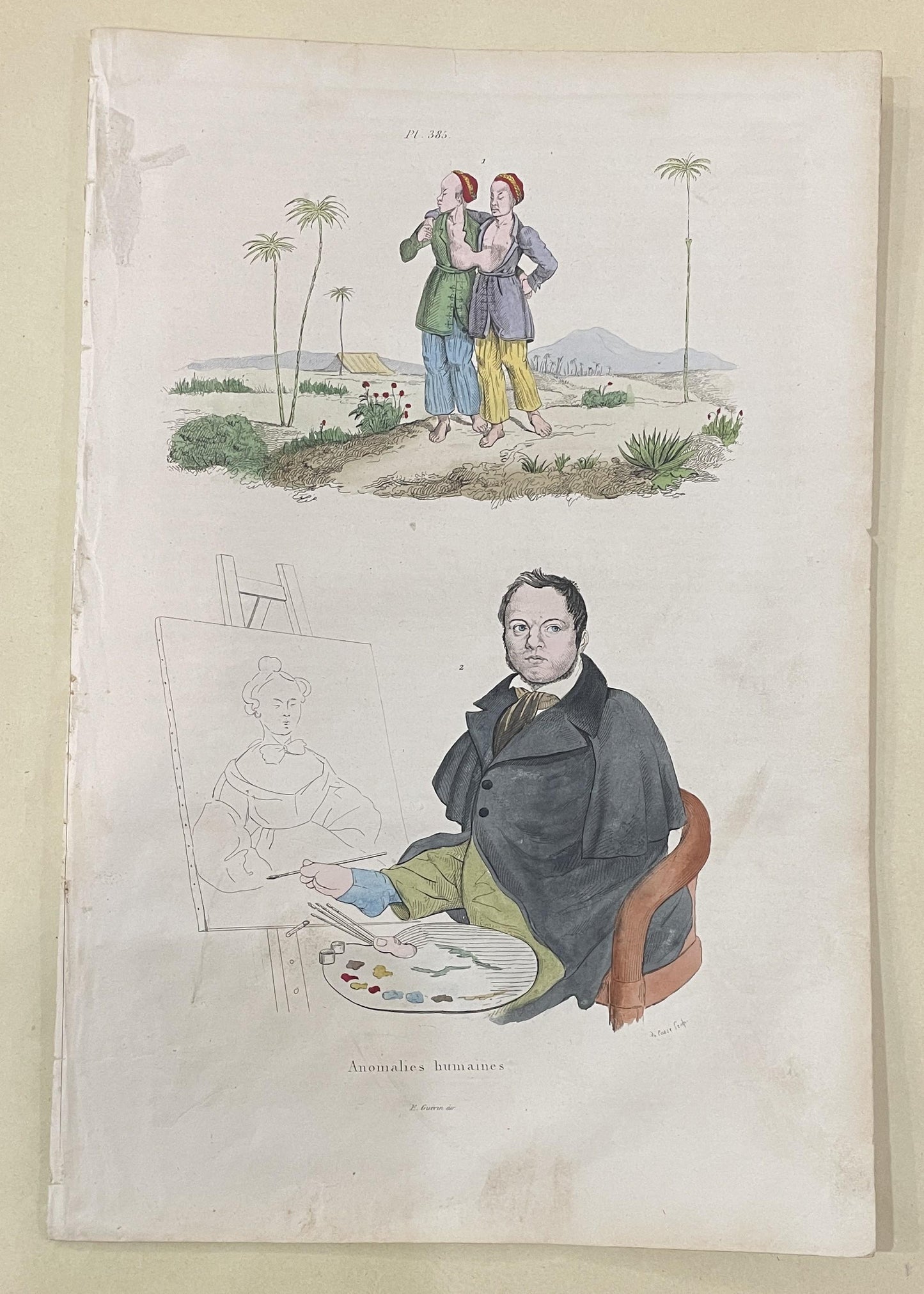 Antique French Natural History Engravings from Guerin Dictionary Monstrosity Anomaly Oddity c1836