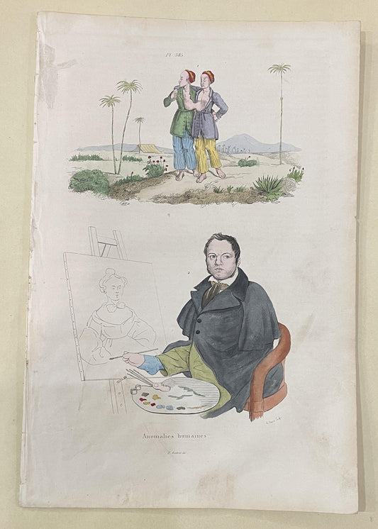 Antique French Natural History Engravings from Guerin Dictionary Monstrosity Anomaly Oddity c1836