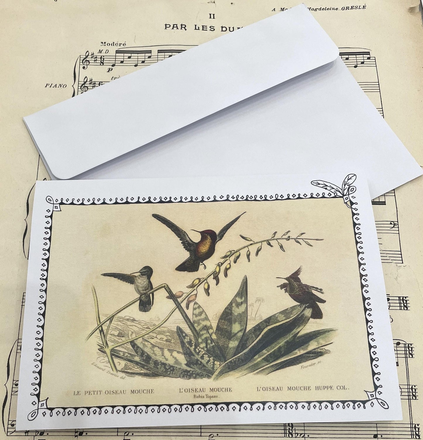 Lot of 5 French Antique Bird Engravings Greeting Cards 5x7 Blank with Envelope