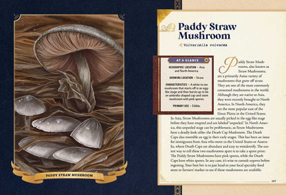 Little Book of Mushrooms by Alex Dorr: Hardcover; 256 pages / English