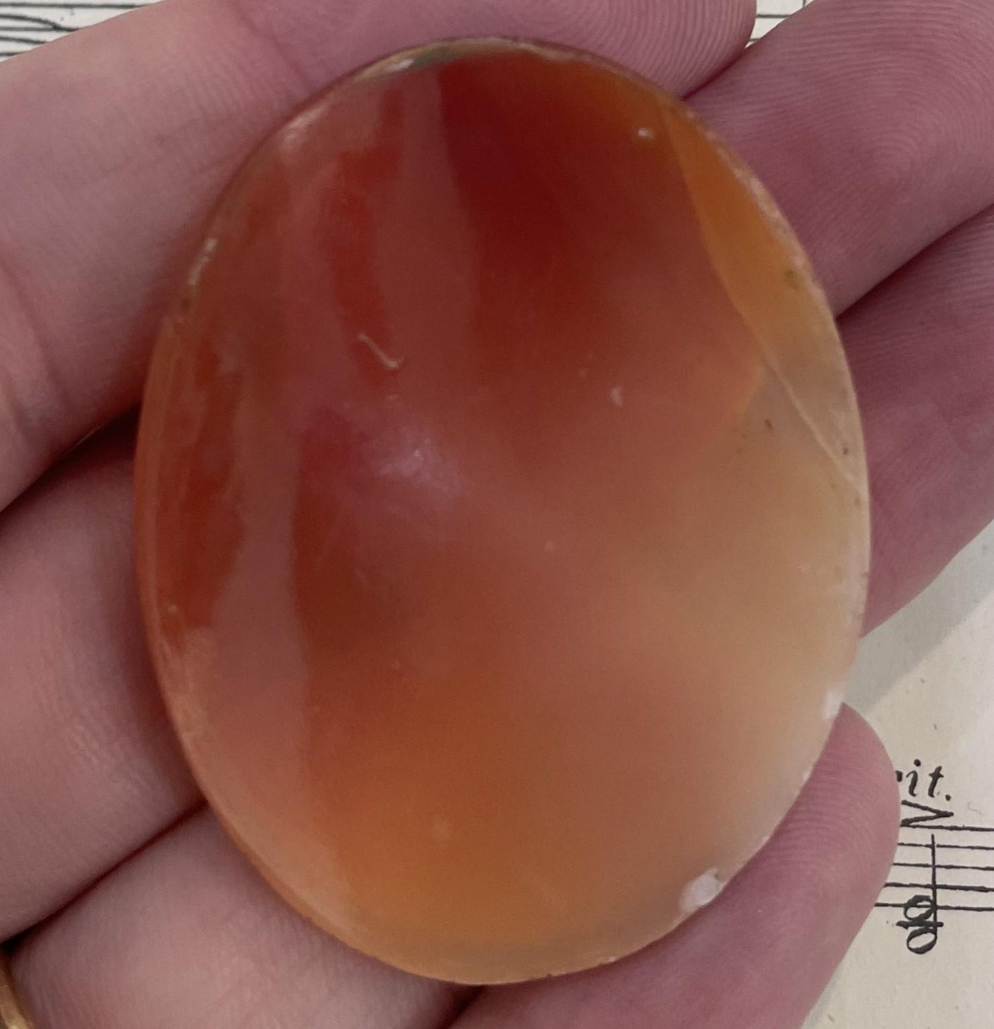 Rare Antique Italian Carved Shell Cameo Woman c1900