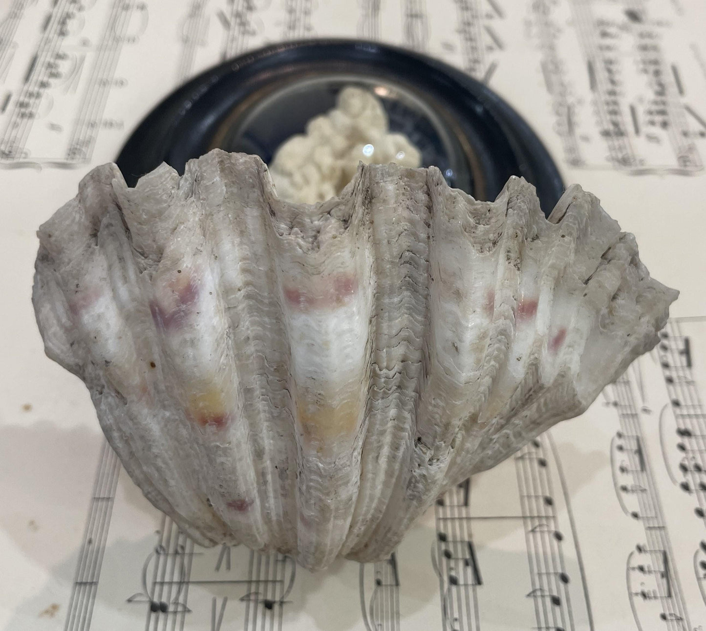 Antique French Carved Plaster Holy Family St John Baptist Domed Glass Holy Water Font c1900