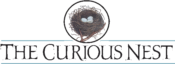 The Curious Nest