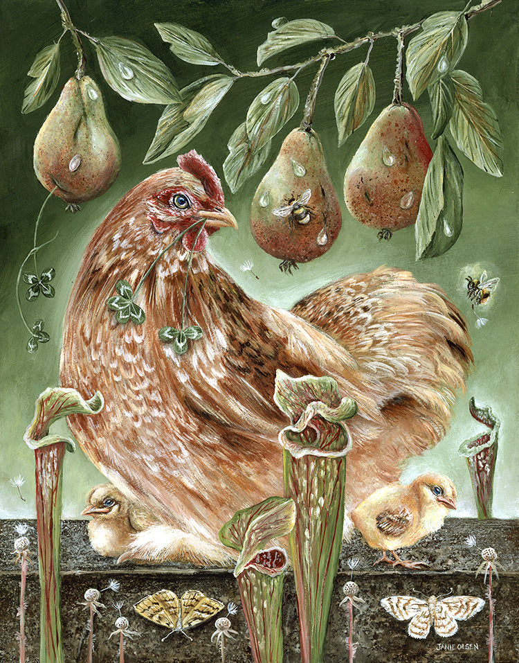 Morag and her Chicks 14 x 11